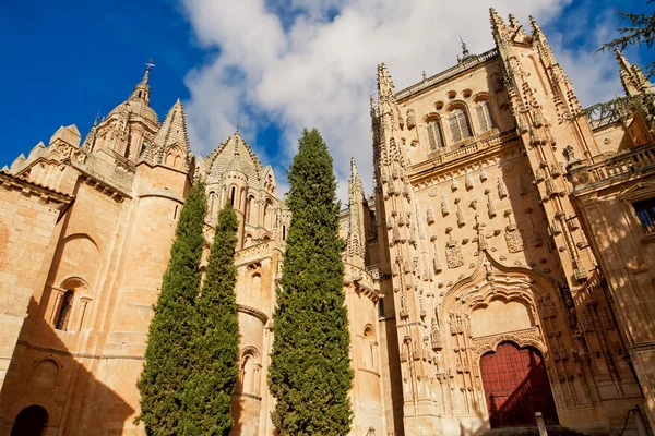 Katedrála v Salamance. Kastilie a León, Španělsko — Stock fotografie