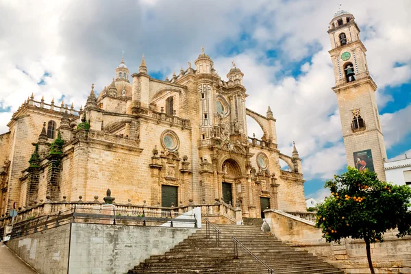 Cathedral in evening time. Jerez de la Frontera, Spain — Stock Photo, Image