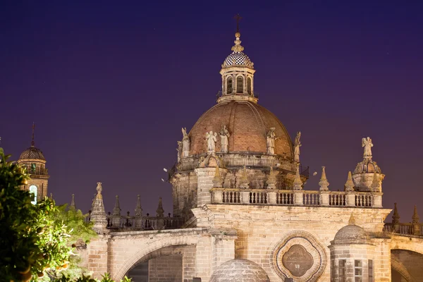 Katedrála ve večerních hodinách. Jerez de la Frontera, Španělsko — Stock fotografie