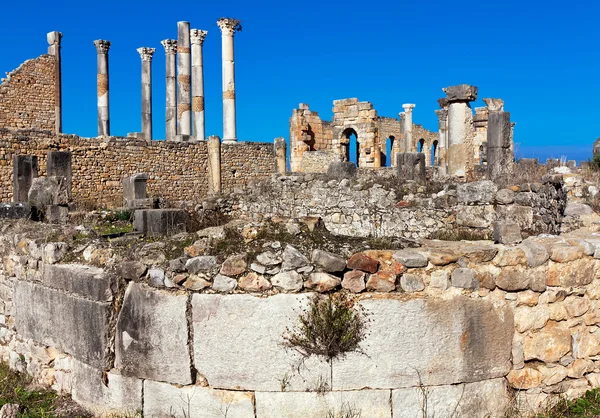 Rzymskie ruiny w Volubilis, Meknes-Tafilalet, Maroko — Zdjęcie stockowe