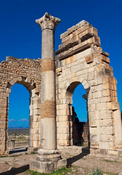 Римських руїн у Volubilis Мекнес Tafilalet, Марокко — стокове фото