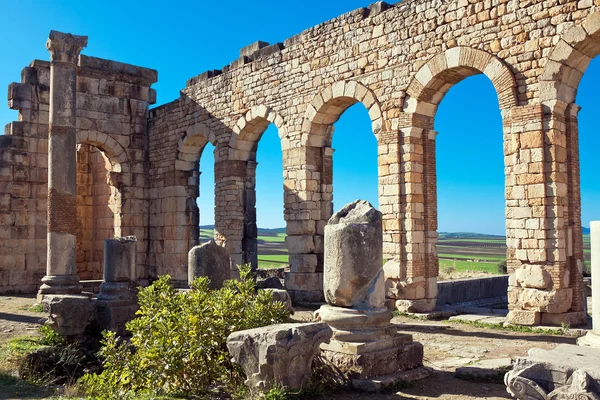 Římské ruiny v Volubilis, regionu Meknes Tafilalet, Maroko — Stock fotografie