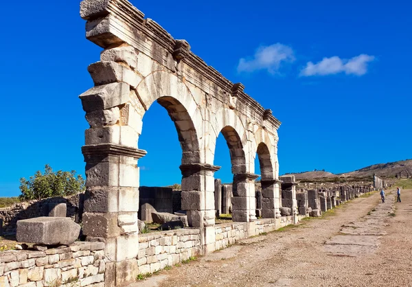 Roman ruins in Volubilis, Meknes Tafilalet, Morocco — Stock Photo, Image