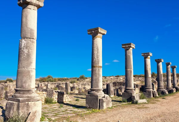 Rzymskie ruiny w Volubilis, Meknes-Tafilalet, Maroko — Zdjęcie stockowe
