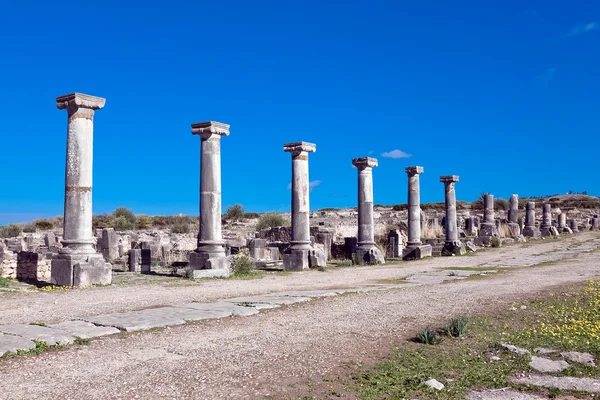 Ruínas romanas em Volubilis, Meknes Tafilalet, Marrocos — Fotografia de Stock