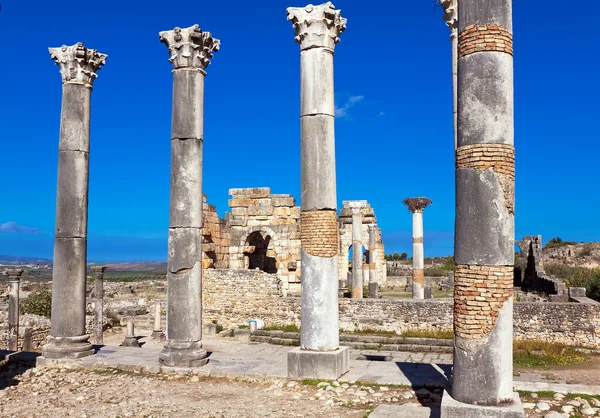 Roman ruins in Volubilis, Meknes Tafilalet, Morocco — Stock Photo, Image