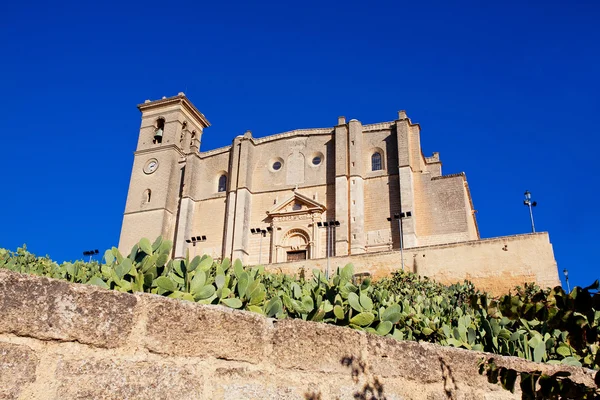 Collegiate Kilisesi ve Manastırı Osuna. Andalucia, İspanya — Stok fotoğraf