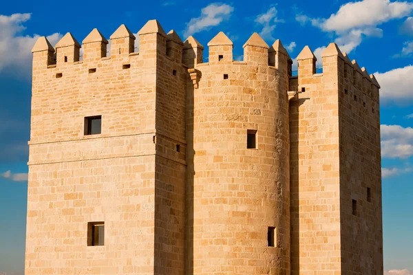 Torre de la Calahorra, Cordoba, Spain — Stock Photo, Image