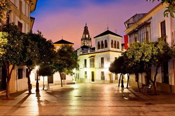 Calle de la vieja Córdoba en la noche. Andalucía, España —  Fotos de Stock