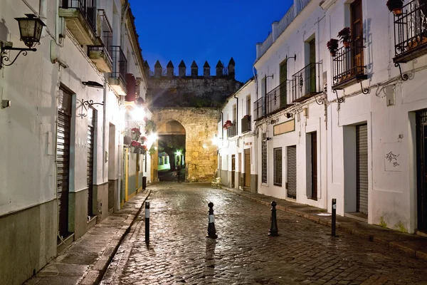 Straat van oude Cordoba in nacht. Andalusië, Spanje — Stockfoto