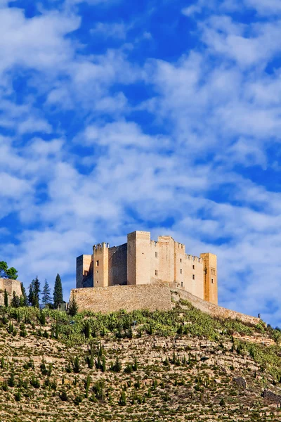 Castelo de Mequinenza. Aragão, Espanha — Fotografia de Stock