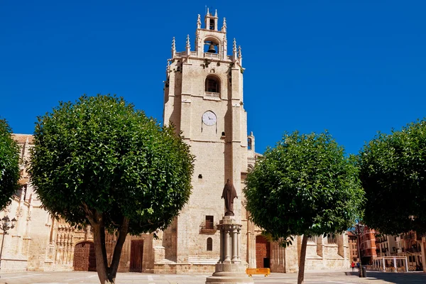 Katedral Palencia, Palencia, Castilla ve Leon, İspanya