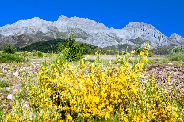 Montanhas Cantábricas na fronteira das Astúrias e Castela e Leão . — Fotografia de Stock