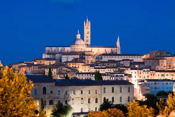 Siena Cathedral, Toscana, Italia —  Fotos de Stock