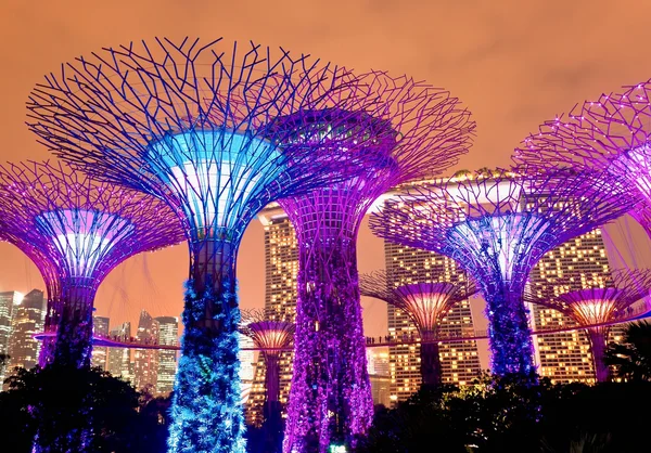 Nacht uitzicht op de Supertree Grove in tuinen in de buurt van Marina Bay in Singapore Stockfoto