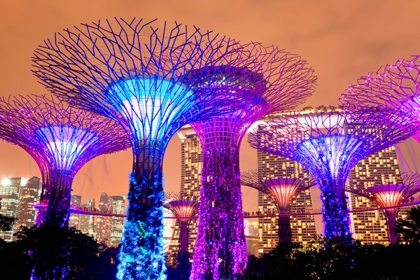 A Supertree liget Gardens közelében Marina Bay, Szingapúr Jogdíjmentes Stock Képek
