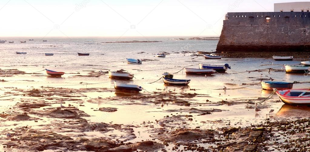 wall castle of Santa Catalina with aged ships on forefront, Cadiz, Andalusia, Spain