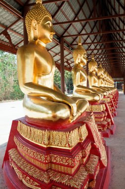 Buda heykelleri, il Kanchanaburi, Tayland  