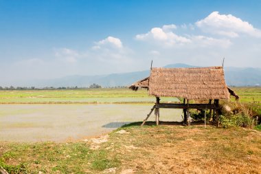 Peasant canopy in north of Thailand