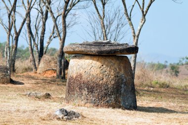 Vadi sürahi. Phonsavan, Xiangkhouang province, Laos