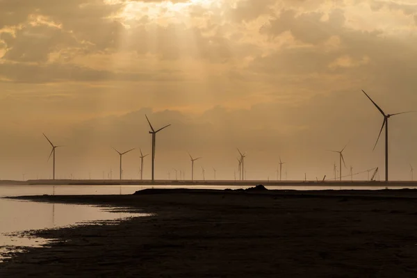 Gruppe von Windrädern an der Küste. — Stockfoto