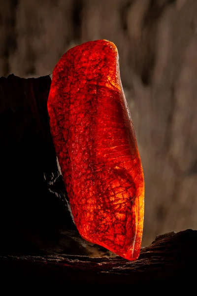 Beauty of natural raw amber. A piece of yellow and red semi transparent natural amber on piece of stoned wood. — Stock Photo, Image