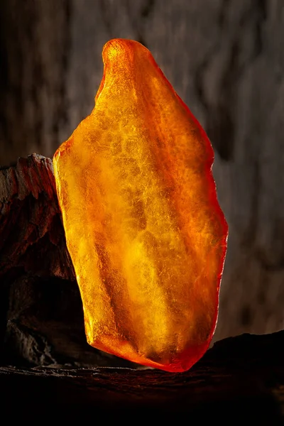 Beauté de l'ambre brut naturel. Un morceau d'ambre naturel jaune opaque sur un gros morceau de bois foncé lapidé. — Photo
