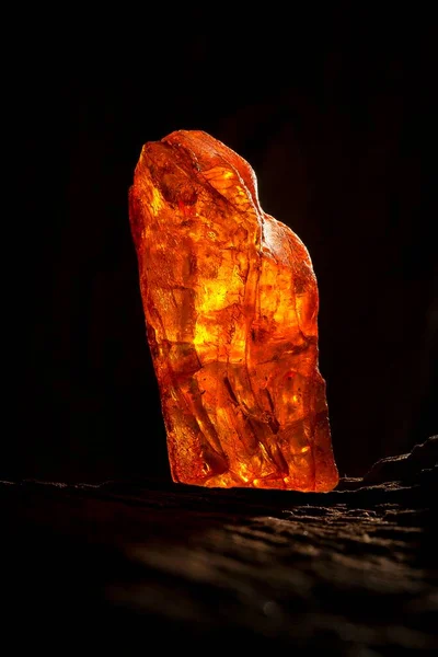 Beauté de l'ambre brut naturel. Un morceau d'ambre naturel transparent jaune-rouge sur un morceau de bois lapidé — Photo