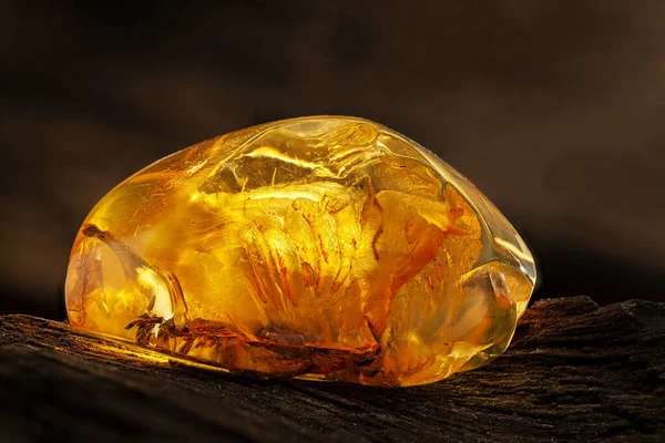 Belleza de ámbar crudo natural. Un pedazo de ámbar natural transparente amarillo sobre un pedazo de madera apedreada —  Fotos de Stock