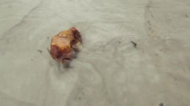 Nehirdeki doğal kehribar parçaları.