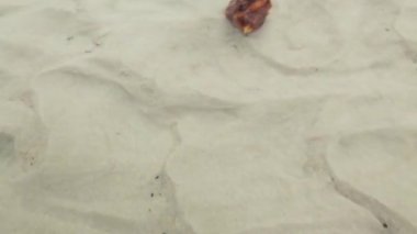 Nehirdeki doğal kehribar parçaları.