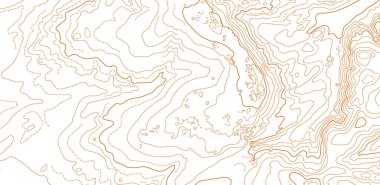 Beyaz arkaplanda soyut vektör topografik haritası