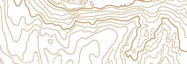 Beyaz arkaplanda soyut vektör topografik haritası