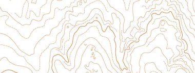 Beyaz arkaplanda soyut vektör topografik haritası