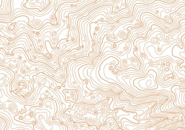Beyaz arkaplanda soyut vektör topografik haritası