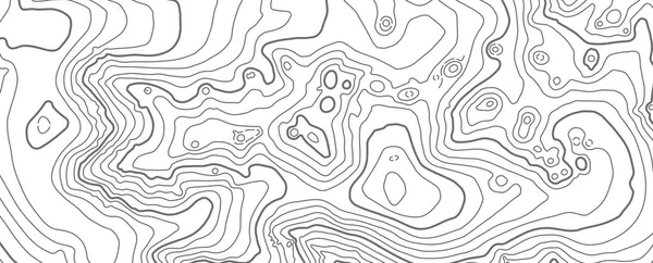 Beyaz arkaplanda soyut vektör topografik haritası