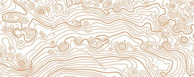 Beyaz arkaplanda soyut vektör topografik haritası