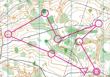 Topografik vektör harita