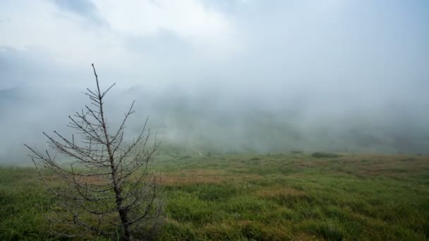 Nuvens ultrapassando cadeia montanhosa — Vídeo de Stock