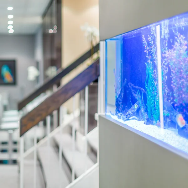 Kantoor interieurdesign met aquarium — Stockfoto