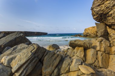 Aruba shore devam et