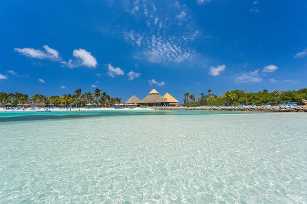 Flamingo beach at Aruba island — Stock Photo, Image