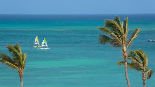 Hermosa vista al mar . — Vídeos de Stock