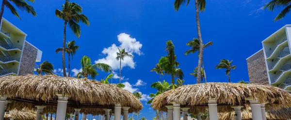 Bungalows und blauer Himmel mit Palmen — Stockfoto