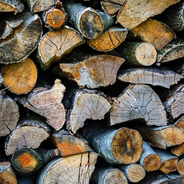 Pile of firewood — Stock Photo, Image