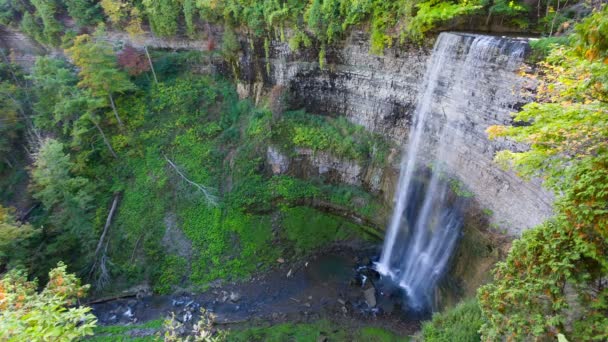 Tews Falls — Αρχείο Βίντεο