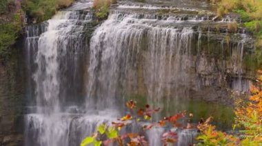 Webster 's Hamilton' a düştü. Ontario, Kanada