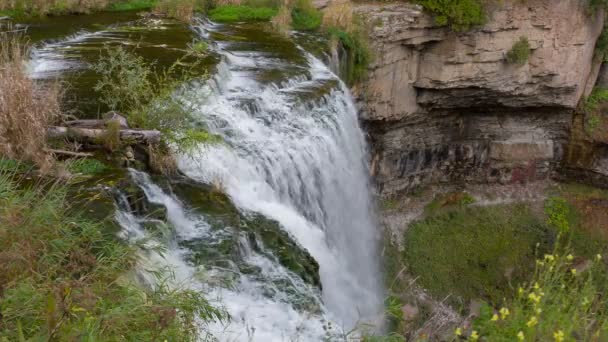 Webster upada w Hamilton. Ontario, Kanada — Wideo stockowe