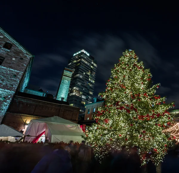 Celebrazione di Natale — Foto Stock