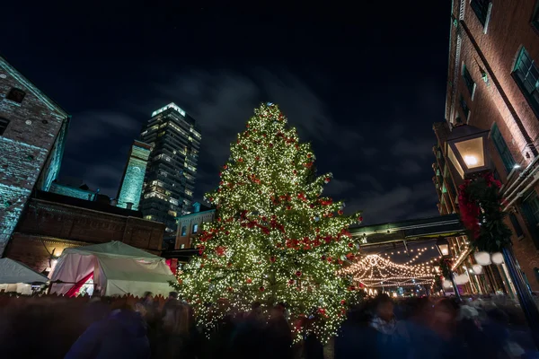 Celebrazione di Natale — Foto Stock